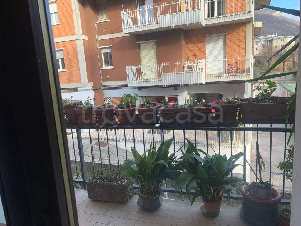 immagine annuncio 8 di 13