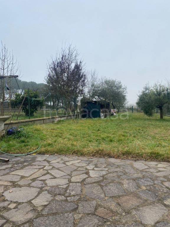 immagine annuncio 8 di 14