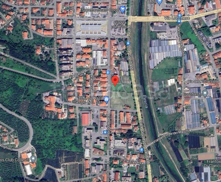 immagine annuncio 3 di 15