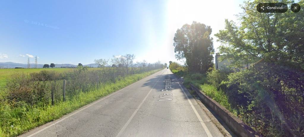immagine annuncio 4 di 14