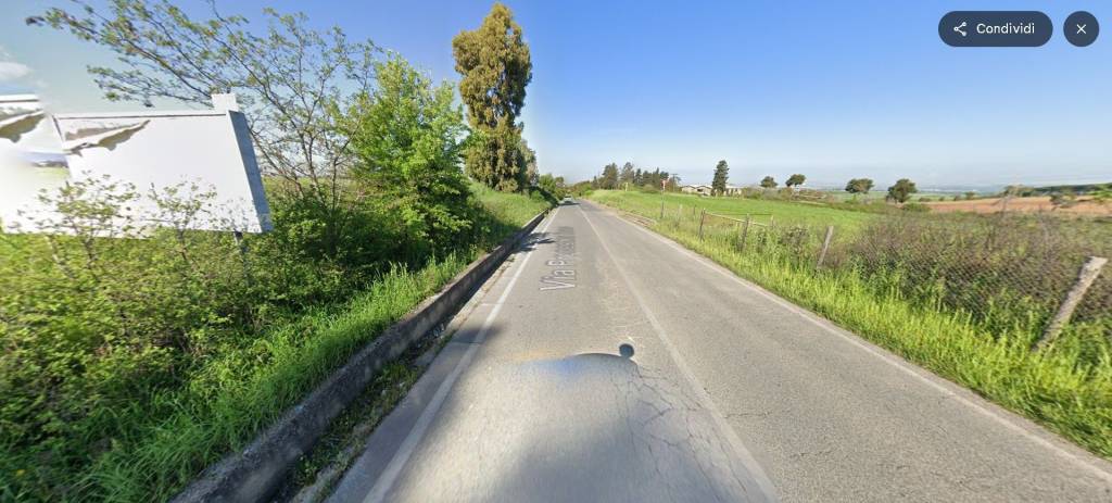 immagine annuncio 9 di 14
