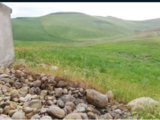 Terreno agricolo all'asta a piana degli albanesi sp103