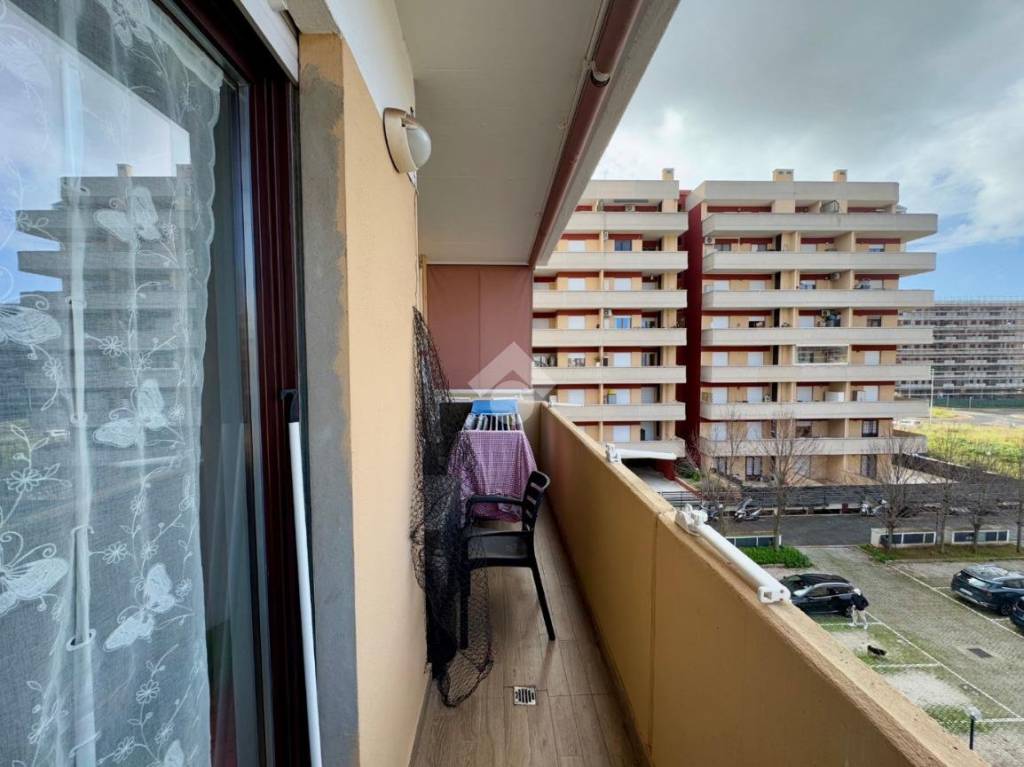 immagine annuncio 12 di 14
