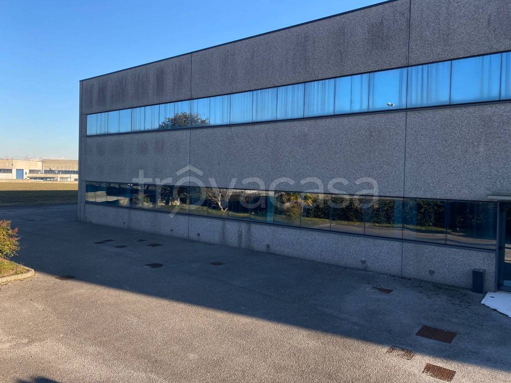 immagine annuncio 5 di 12