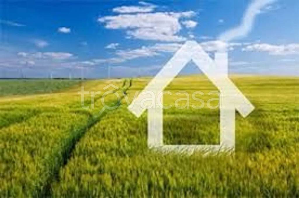 immagine annuncio 4 di 8