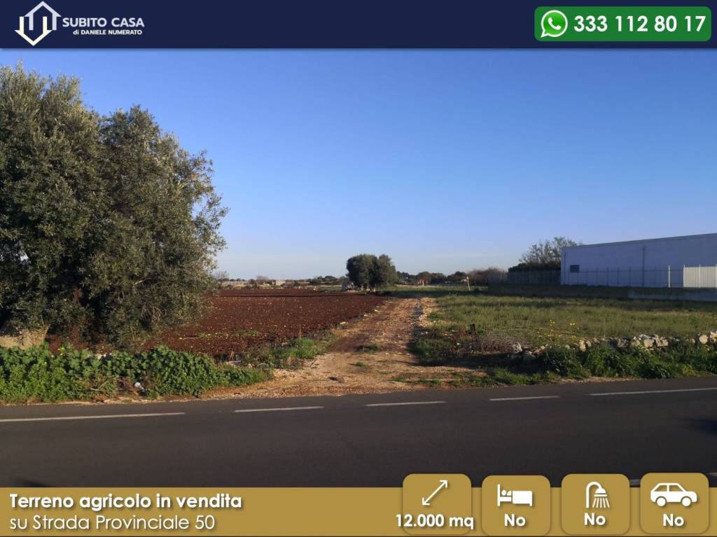 immagine annuncio 2 di 7