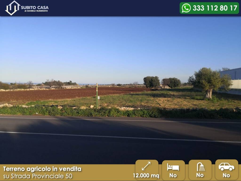 immagine annuncio 3 di 7