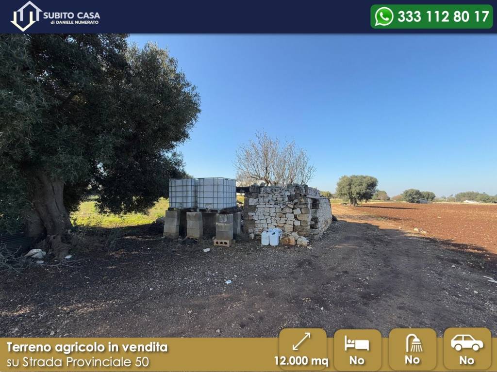 immagine annuncio 6 di 7