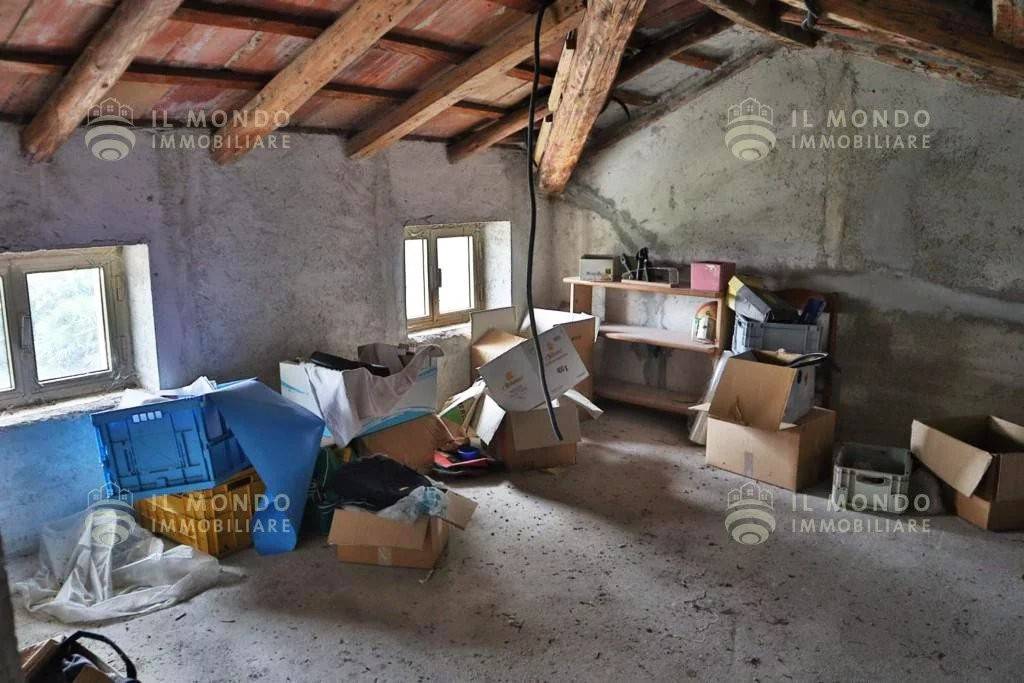 immagine annuncio 9 di 14