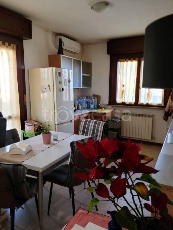 immagine annuncio 3 di 8