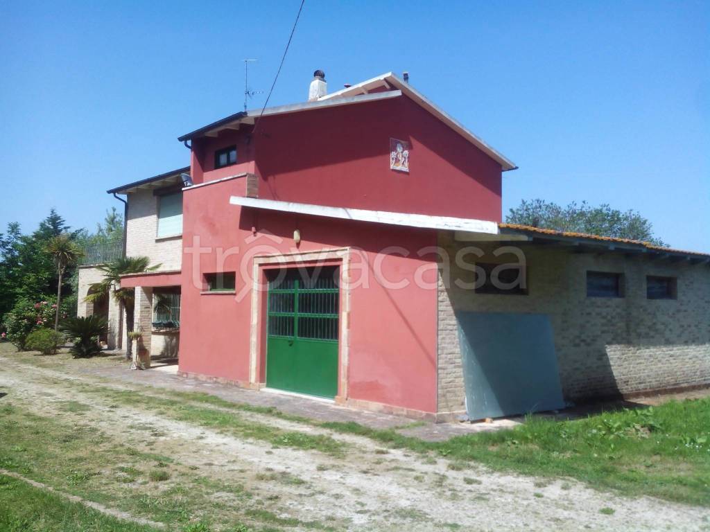 immagine annuncio 11 di 12