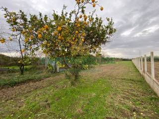 Terreno agricolo in vendita a maddaloni via appia, 500