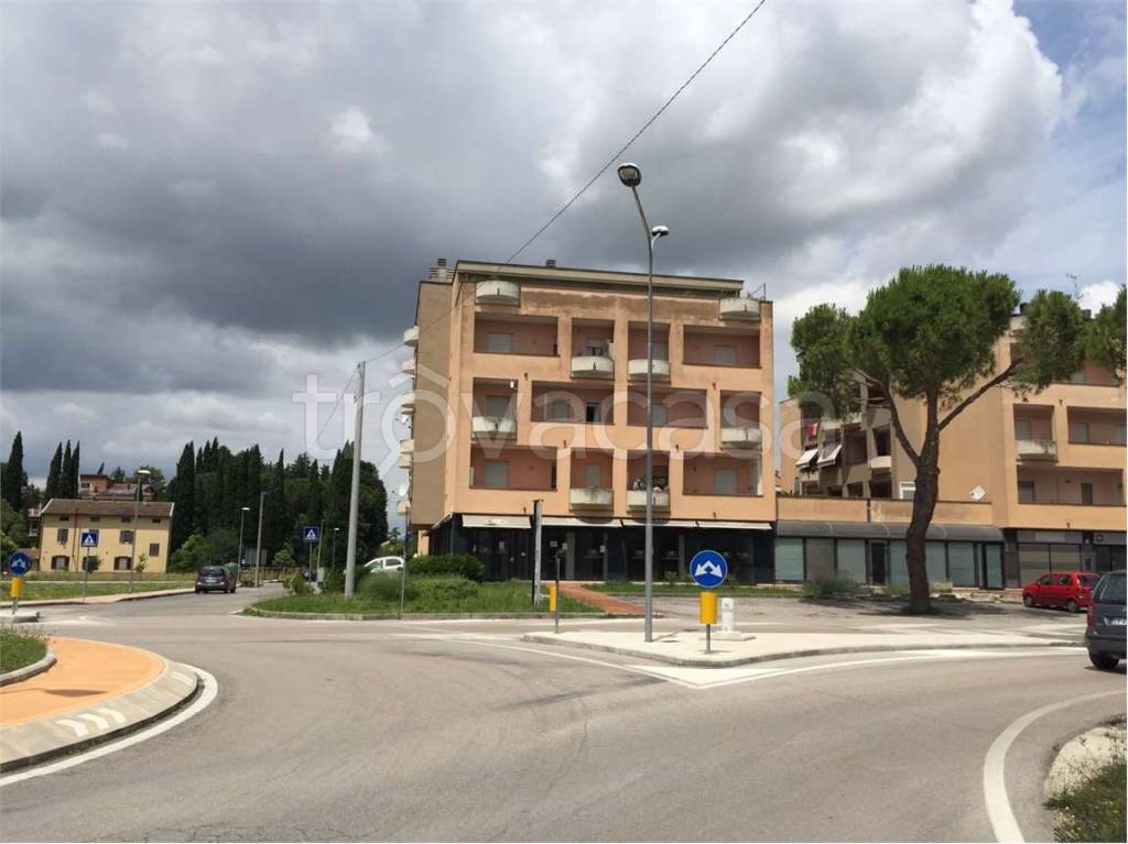 immagine annuncio 4 di 7