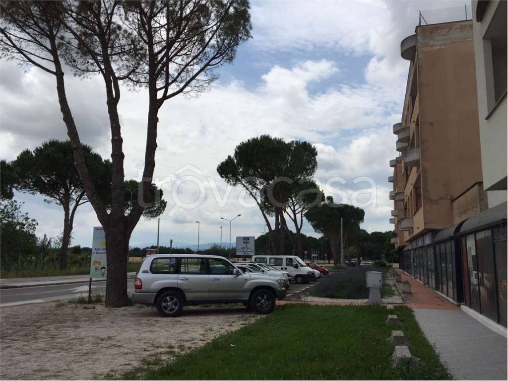 immagine annuncio 5 di 7