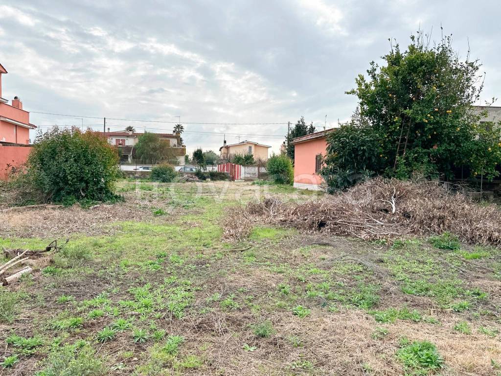 immagine annuncio 11 di 13