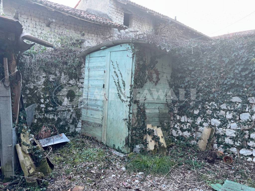 immagine annuncio 12 di 14