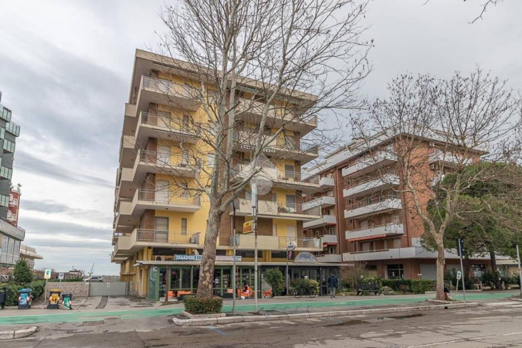 immagine annuncio 8 di 11