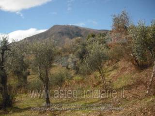 Terreno agricolo all'asta a omignano località montagna - orto del mulino