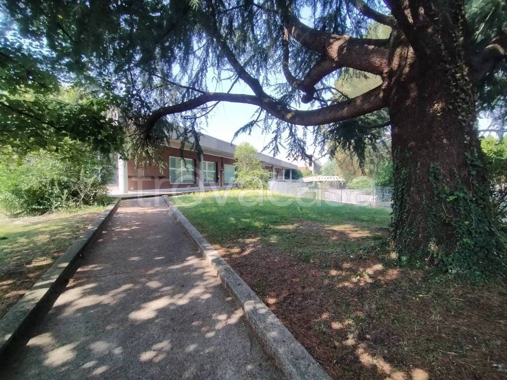 immagine annuncio 1 di 7