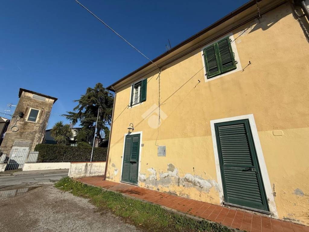 immagine annuncio 12 di 13