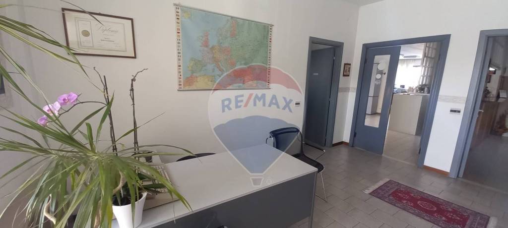 immagine annuncio 5 di 14