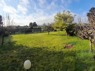 Terreno agricolo in vendita a piombino località le fabbricciane