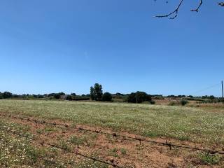 Terreno agricolo in vendita ad anzio via della fonderia