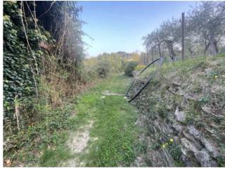 Terreno agricolo all'asta a lavagna località madonna della neve