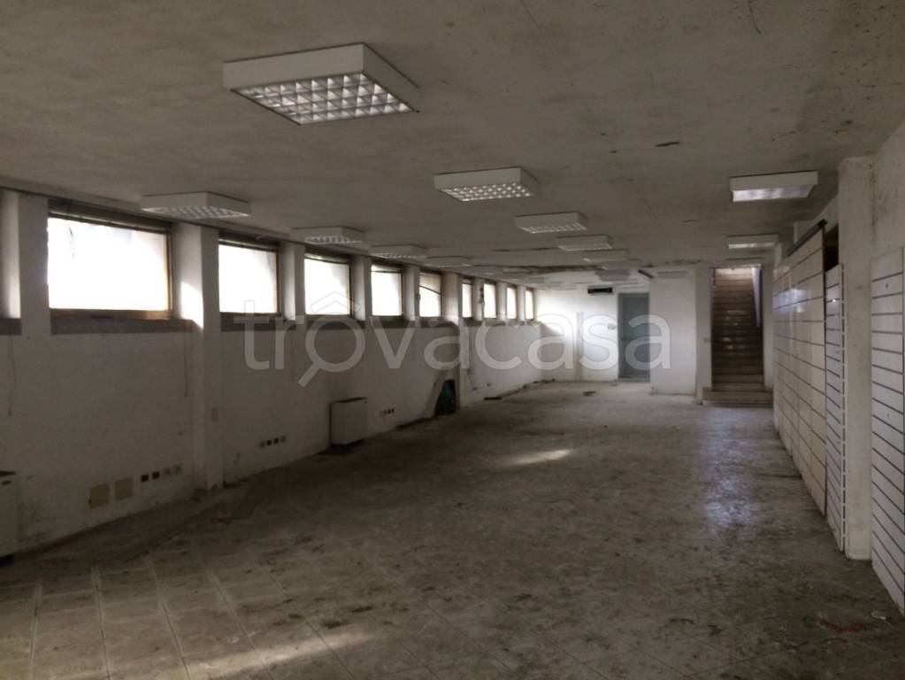immagine annuncio 5 di 8