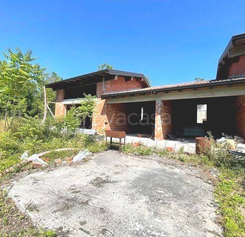 immagine annuncio 3 di 13