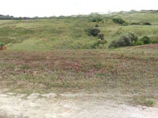 Terreno agricolo all'asta a nova siri località san megale