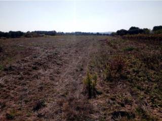 Terreno agricolo all'asta a taranto viale magna grecia