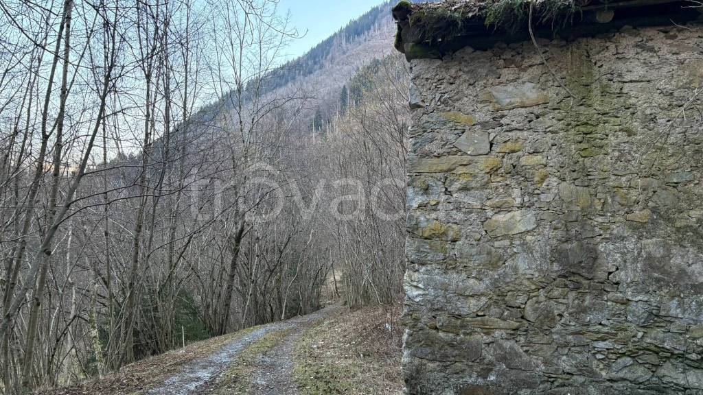 immagine annuncio 4 di 6