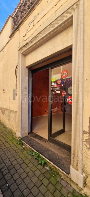 immagine annuncio 11 di 14