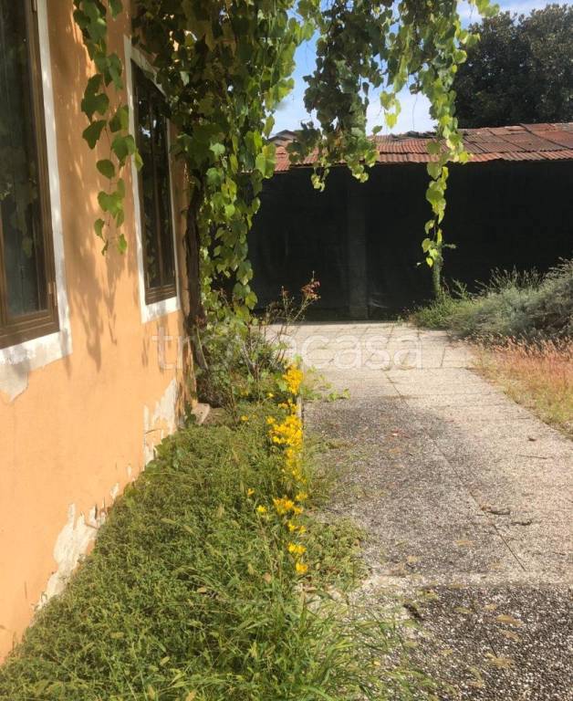 immagine annuncio 6 di 14