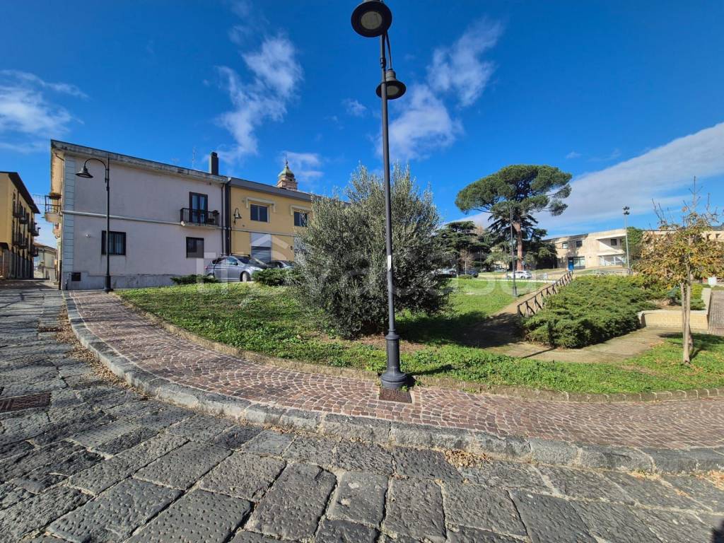 immagine annuncio 3 di 13