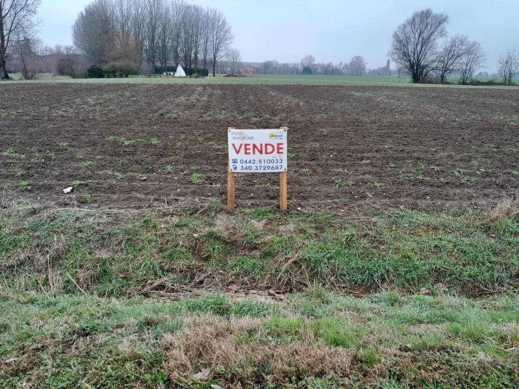 immagine annuncio 1 di 6