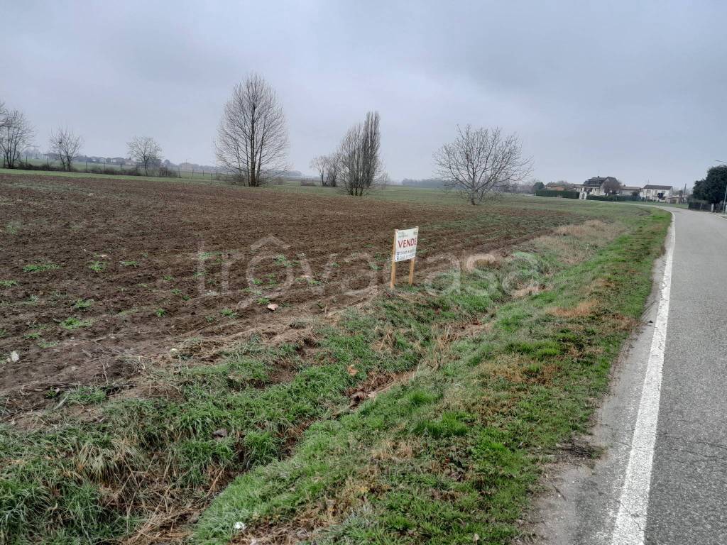 immagine annuncio 4 di 6