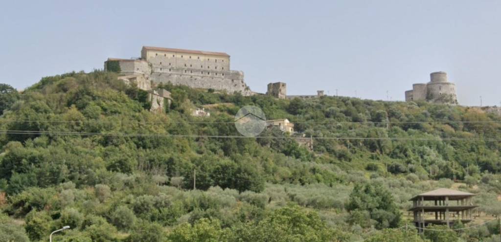 immagine annuncio 11 di 13