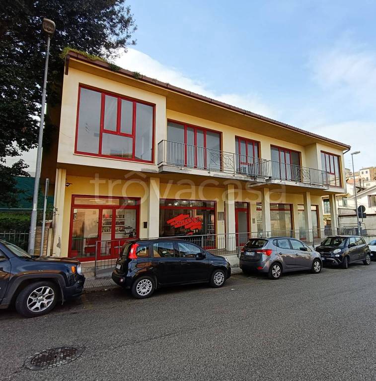 immagine annuncio 1 di 2