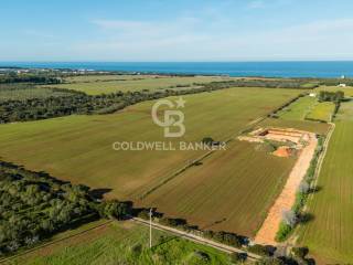 Terreno agricolo in vendita a ostuni contrada boezio/refrigerio