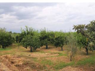 Magazzino all'asta a corigliano-rossano contrada piragineti