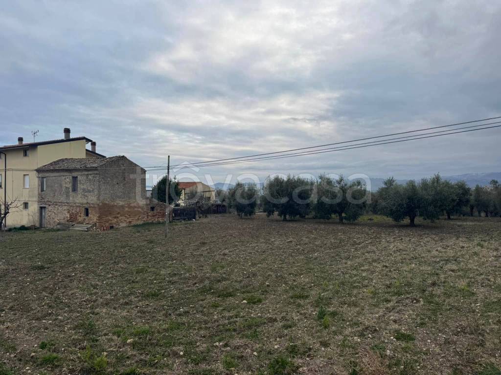 immagine annuncio 4 di 8