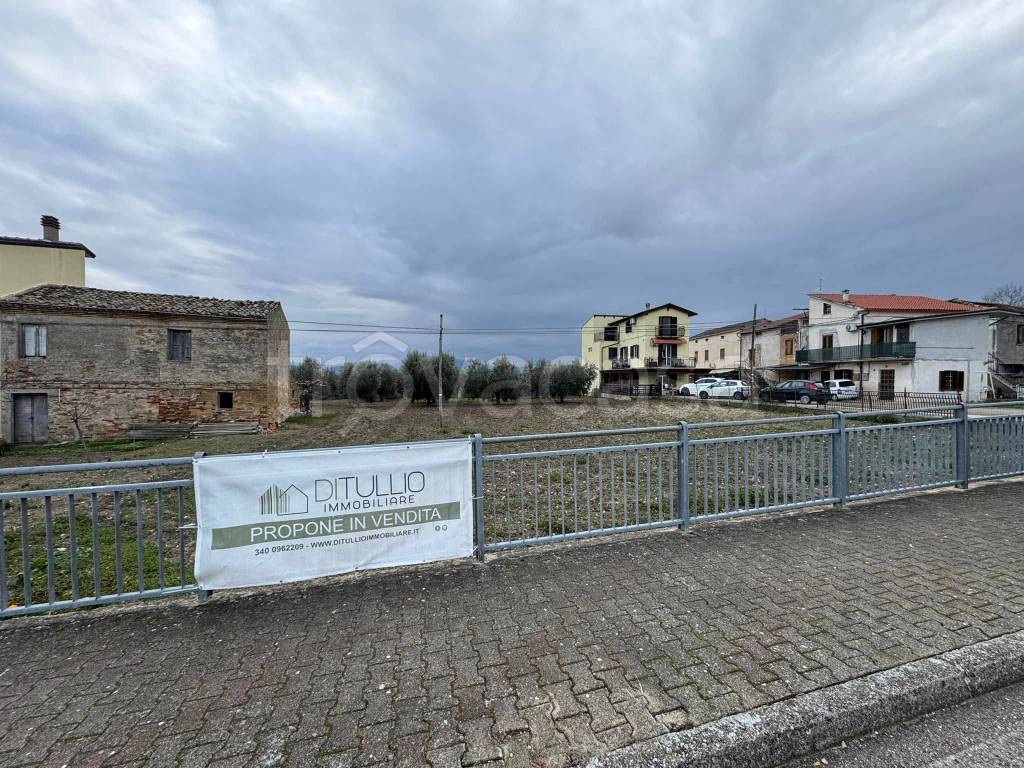 immagine annuncio 5 di 8