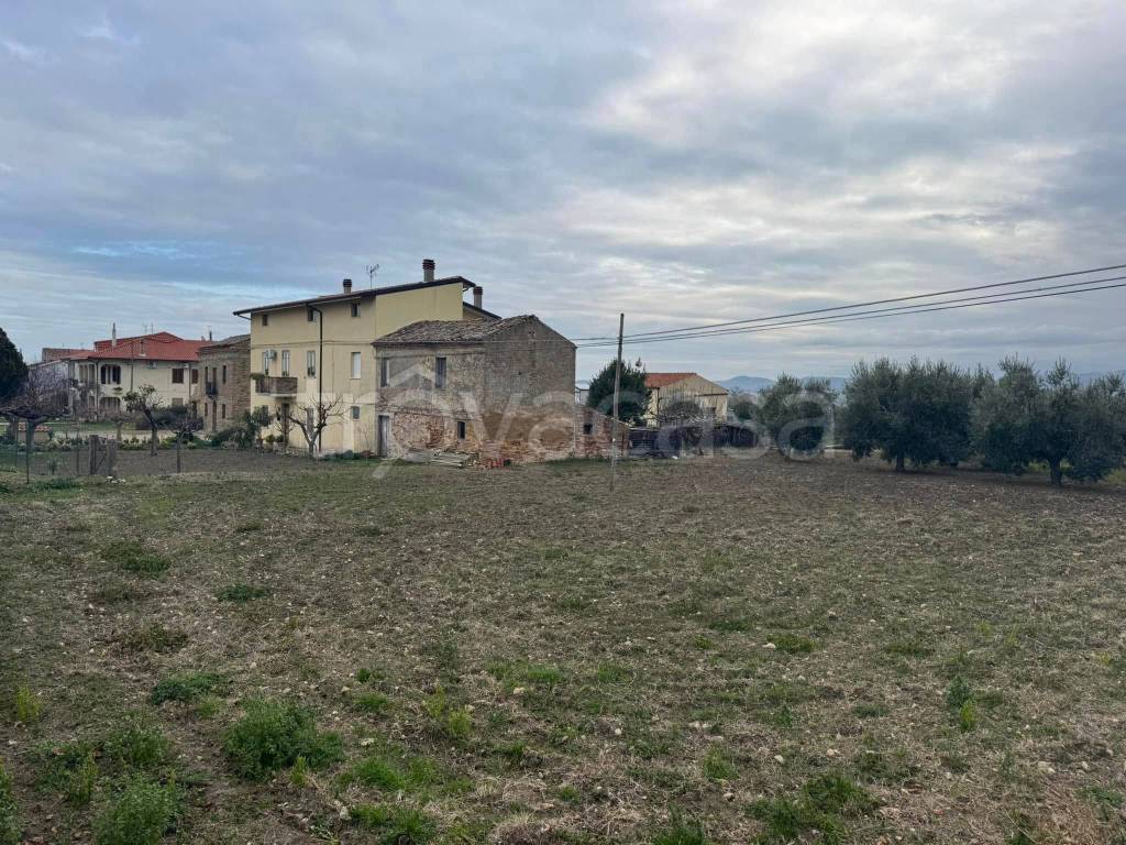 immagine annuncio 7 di 8