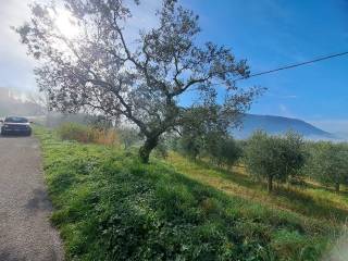 Terreno agricolo in vendita a sant'agata de' goti piazza trieste