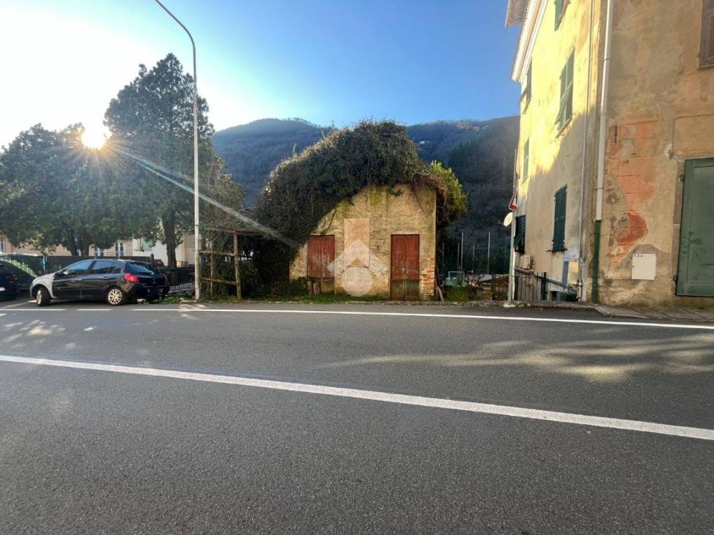 immagine annuncio 2 di 14