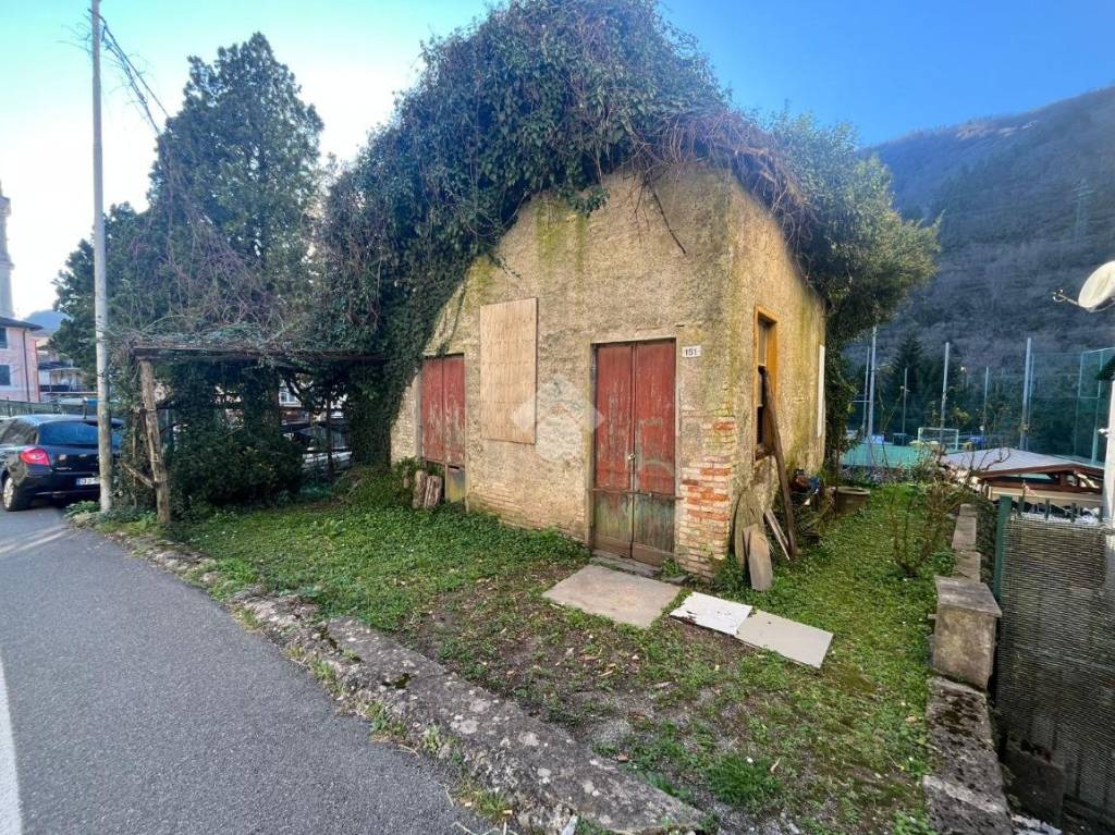 immagine annuncio 3 di 14