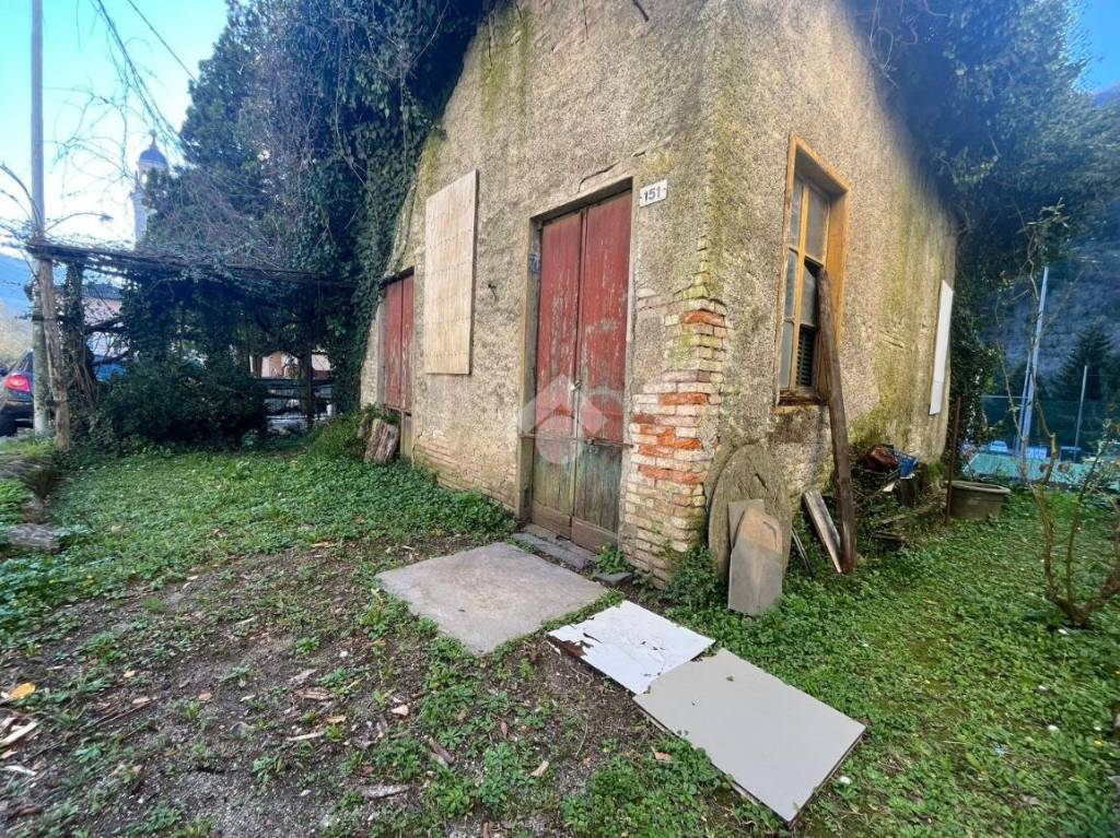 immagine annuncio 4 di 14