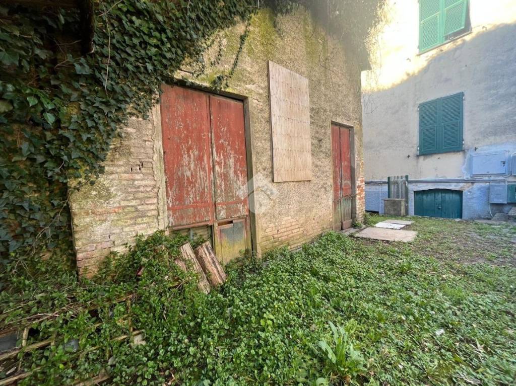 immagine annuncio 5 di 14